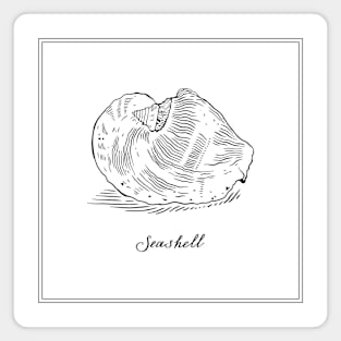 Big Seashell. Black and white marine mollusc illustration. Magnet